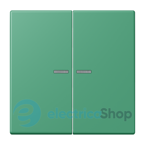 Клавиша JUNG HOME, 2 группы, BTLC17102250 vert 59 (4320G)