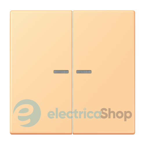 Клавиша JUNG HOME, 2 группы, BTLC17102258 terre sienne claire 59 (4320P)