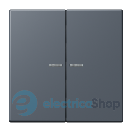 Клавиша JUNG HOME, 2 группы, BTLC17102262 gris foncé (4320U)
