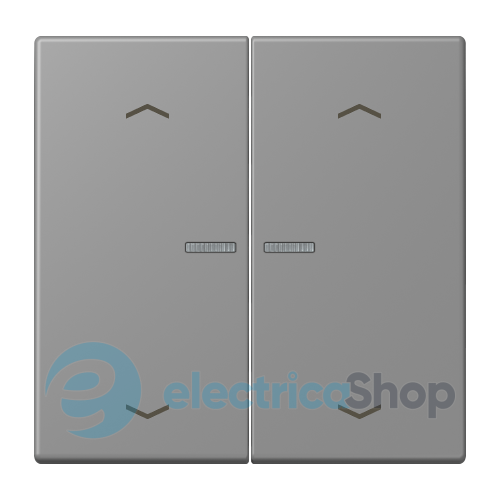 Клавиша с симовлом «стрелки» JUNG HOME, 2 группы, BTLC17102P203