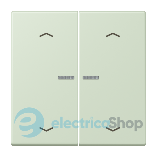 Клавиша с симовлом «стрелки» JUNG HOME, 2 группы, BTLC17102P218