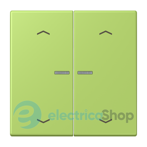 Клавиша с симовлом «стрелки» JUNG HOME, 2 группы, BTLC17102P221