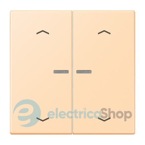 Клавиша с симовлом «стрелки» JUNG HOME, 2 группы, BTLC17102P223