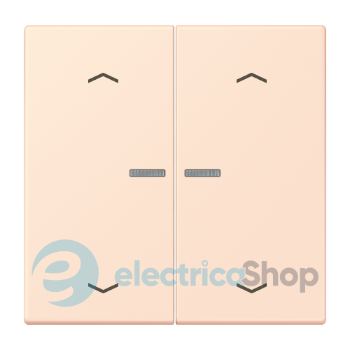 Клавиша с симовлом «стрелки» JUNG HOME, 2 группы, BTLC17102P226