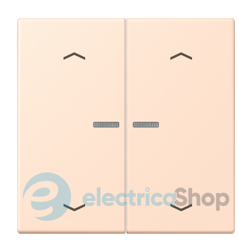 Клавиша с симовлом «стрелки» JUNG HOME, 2 группы, BTLC17102P228