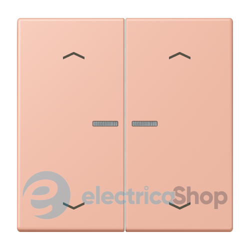 Клавиша с симовлом «стрелки» JUNG HOME, 2 группы, BTLC17102P231