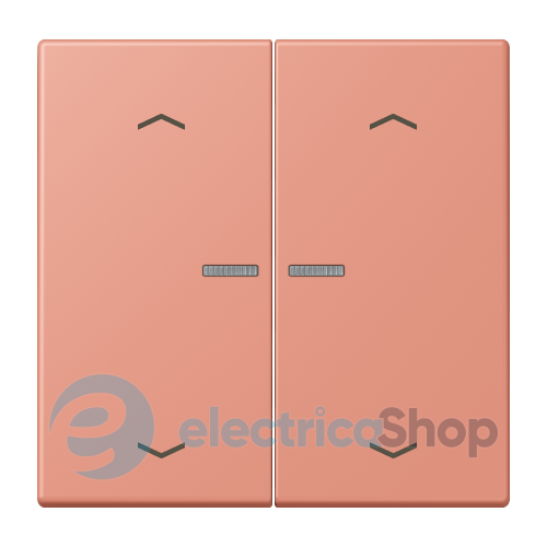 Клавиша с симовлом «стрелки» JUNG HOME, 2 группы, BTLC17102P233