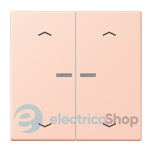 Клавиша с симовлом «стрелки» JUNG HOME, 2 группы, BTLC17102P234