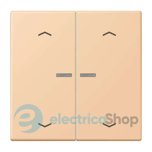 Клавиша с симовлом «стрелки» JUNG HOME, 2 группы, BTLC17102P237