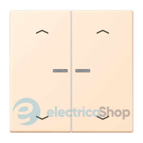 Клавиша с симовлом «стрелки» JUNG HOME, 2 группы, BTLC17102P238