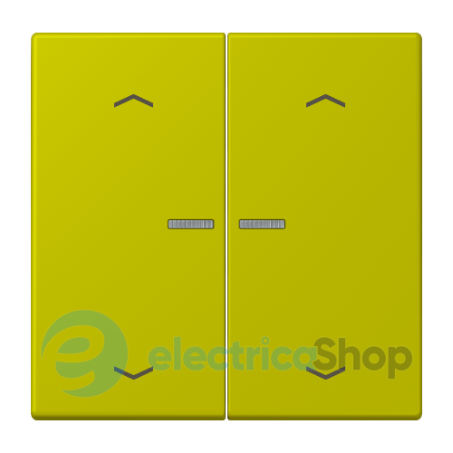 Клавиша с симовлом «стрелки» JUNG HOME, 2 группы, BTLC17102P249