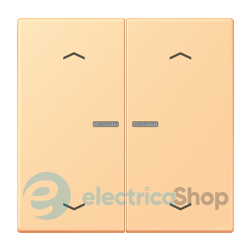 Клавиша с симовлом «стрелки» JUNG HOME, 2 группы, BTLC17102P258