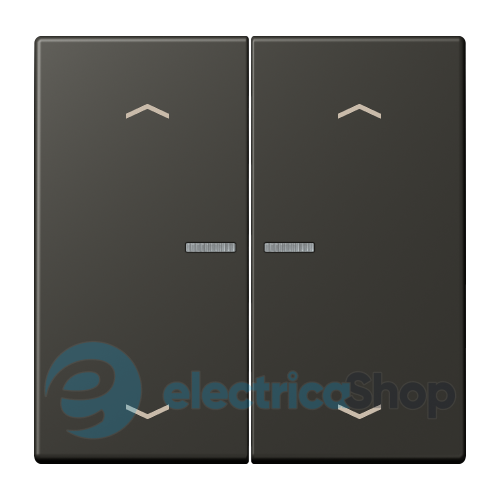 Клавиша с симовлом «стрелки» JUNG HOME, 2 группы, BTLC17102P259