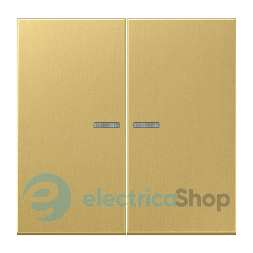 Клавиша JUNG HOME, 2 группы, BTME17102C латунь Classic