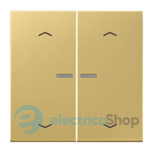 Клавиша с симовлом «стрелки» JUNG HOME, 2 группы, BTME17102PC латунь Classic