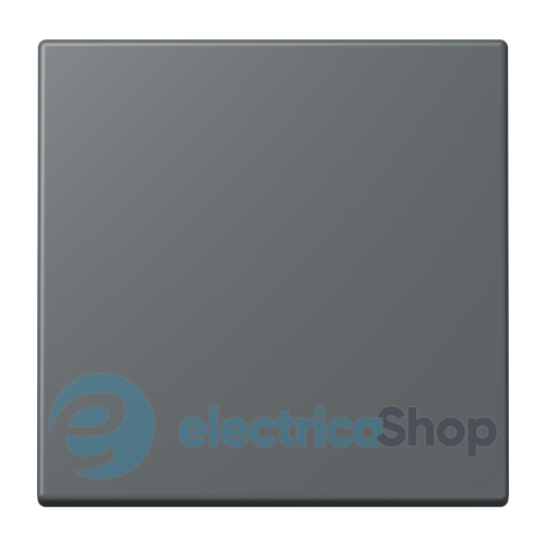 Клавіша 1-а. JUNG LC990202 gris foncé 31 (32010)