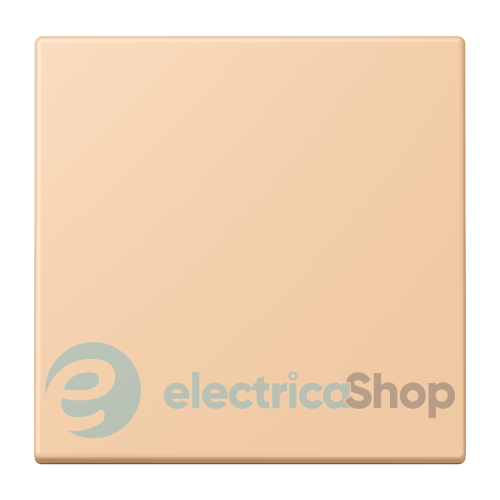 Клавіша 1-а. JUNG LC990237 terre sienne claire 31 (32122)