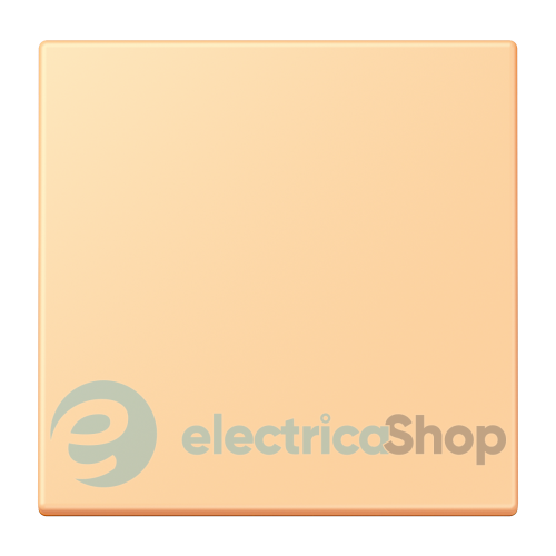 Клавиша 1-а. JUNG LC990258 terre sienne claire 59 (4320P)