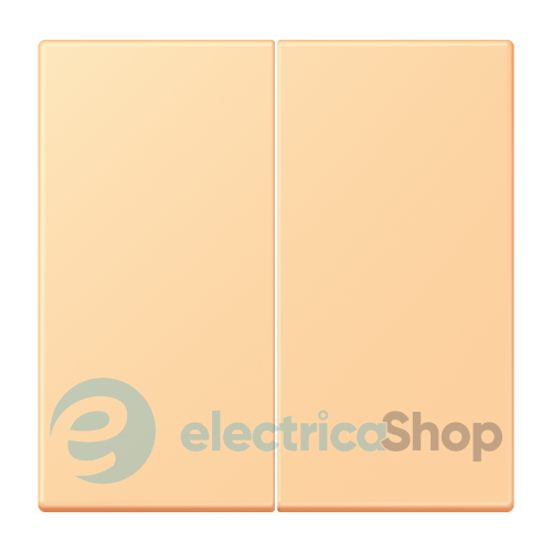 Клавиша 2-а. JUNG LC995258 terre sienne claire 59 (4320P)