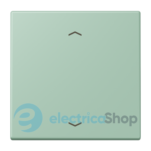 Клавіша зі стрілками JUNG LC990P217 vert anglais clair (32041)