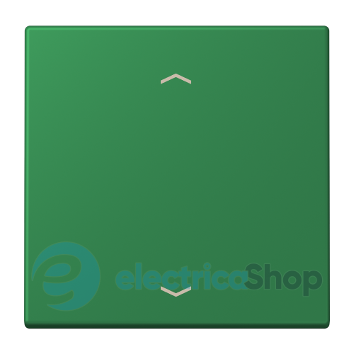 Клавиша со стрелками JUNG LC990P219 vert foncé (32050)