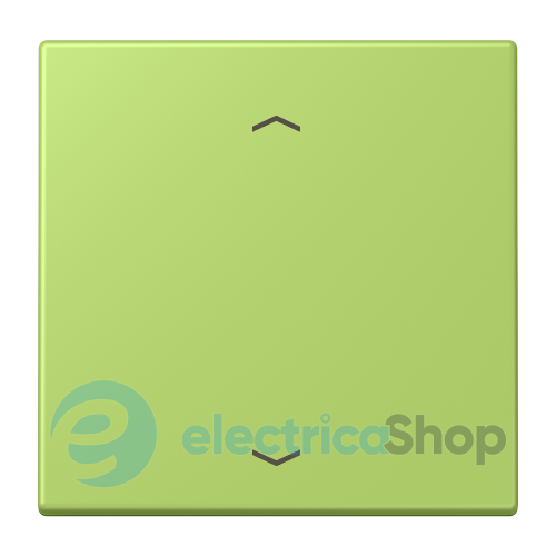Клавиша со стрелками JUNG LC990P221 vert clair (32052)