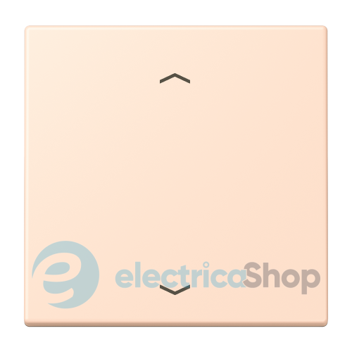 Клавиша со стрелками JUNG LC990P228 rose pâle (32091)