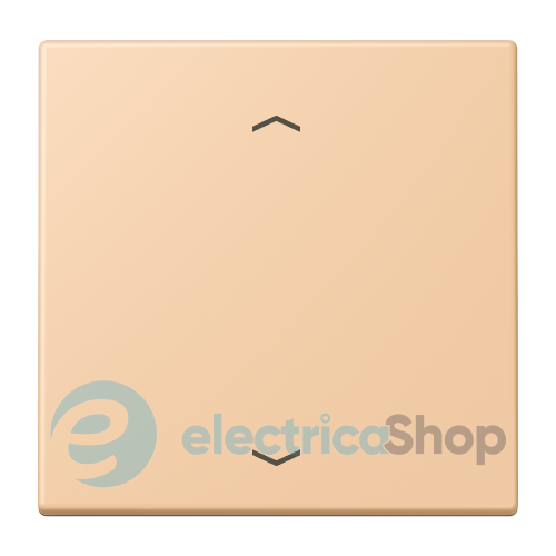 Клавиша со стрелками JUNG LC990P237 terre sienne claire 31 (32122)