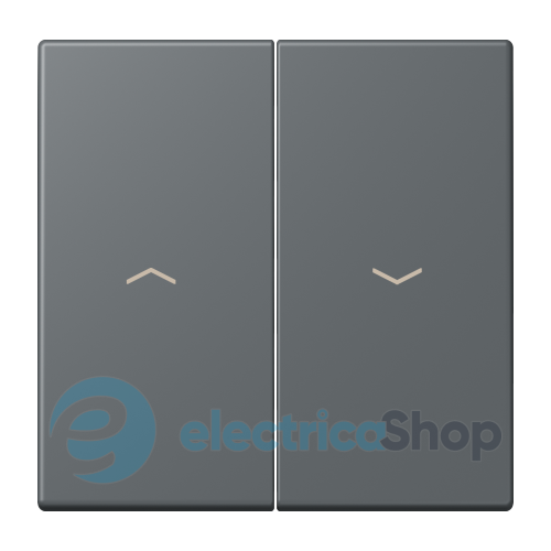 Клавиша 2-а. со стрелками JUNG LC995P202 gris foncé 31 (32010)