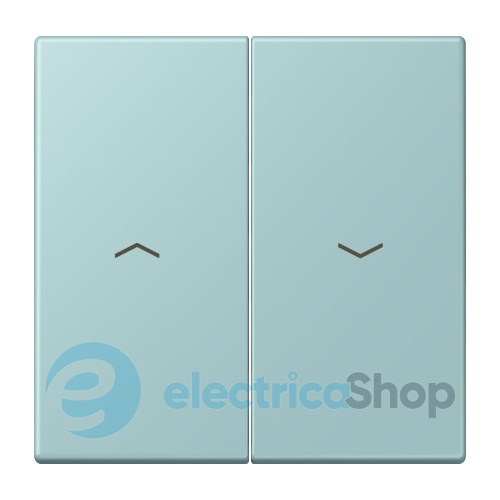 Клавиша 2-а. со стрелками JUNG LC995P214 céruléen clair (32033)