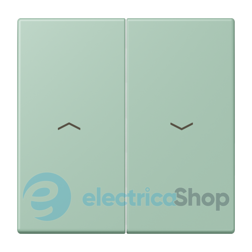 Клавіша 2-а. зі стрілками JUNG LC995P217 vert anglais clair (32041)