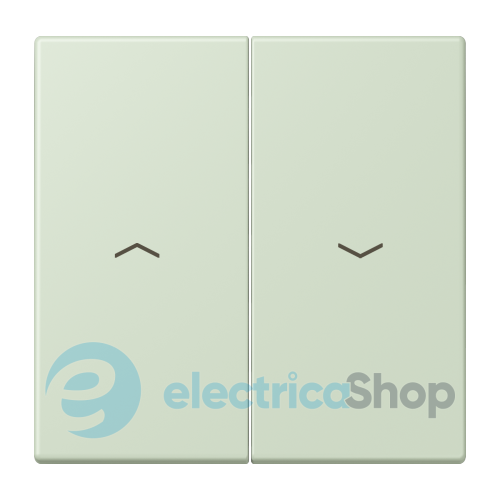 Клавиша 2-а. со стрелками JUNG LC995P218 vert anglais pâle (32042)