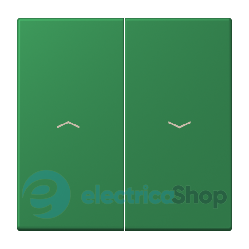 Клавиша 2-а. со стрелками JUNG LC995P219 vert foncé (32050)