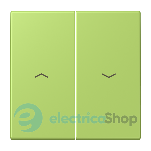 Клавиша 2-а. со стрелками JUNG LC995P221 vert clair (32052)