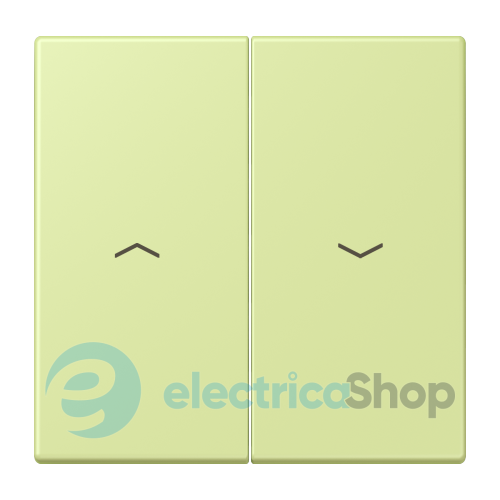 Клавіша 2-а. зі стрілками JUNG LC995P222 vert jaune clair (32053)