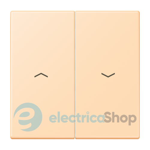 Клавиша 2-а. со стрелками JUNG LC995P223 ocre (32060)