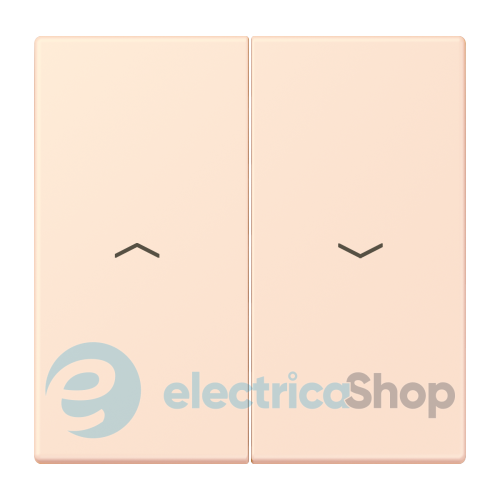 Клавиша 2-а. со стрелками JUNG LC995P226 orange pâle (32082)