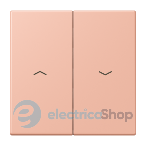 Клавіша 2-а. зі стрілками JUNG LC995P231 rose clair (32102)