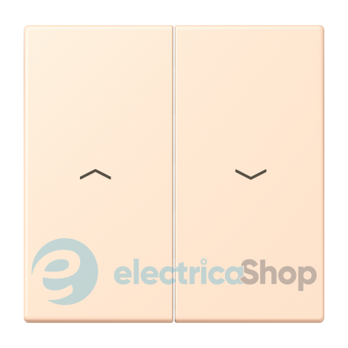 Клавиша 2-а. со стрелками JUNG LC995P238 terre sienne pâle (32123)