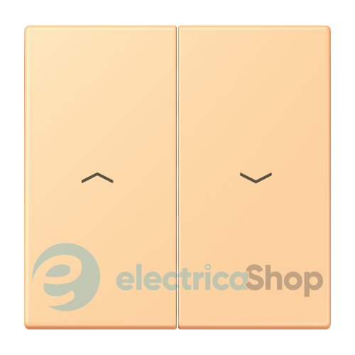 Клавиша 2-а. со стрелками JUNG LC995P258 terre sienne claire 59 (4320P)