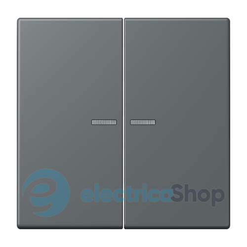 Клавиша 2-а. с подсветкой JUNG LC995KO5202 gris foncé 31 (32010)