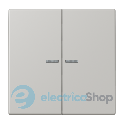 Клавиша 2-а. с подсветкой JUNG LC995KO5205 gris clair 31 (32013)