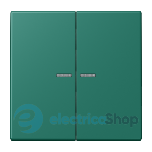 Клавиша 2-а. с подсветкой JUNG LC995KO5216 vert anglais (32040)