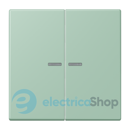 Клавиша 2-а. с подсветкой JUNG LC995KO5217 vert anglais clair (32041)