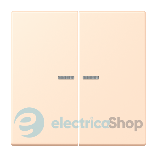 Клавиша 2-а. с подсветкой JUNG LC995KO5238 terre sienne pâle (32123)