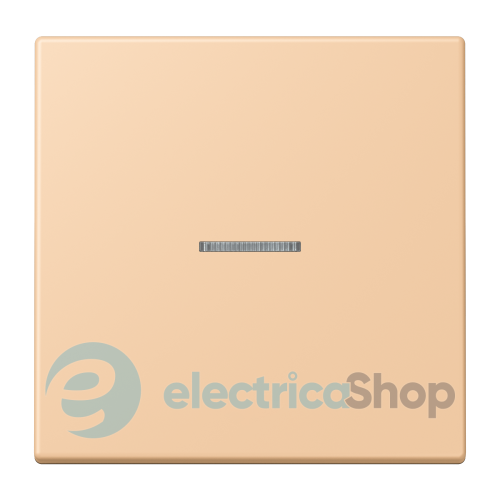 Клавиша 1-а. с подсветкой JUNG LC990KO5237 terre sienne claire 31 (32122)