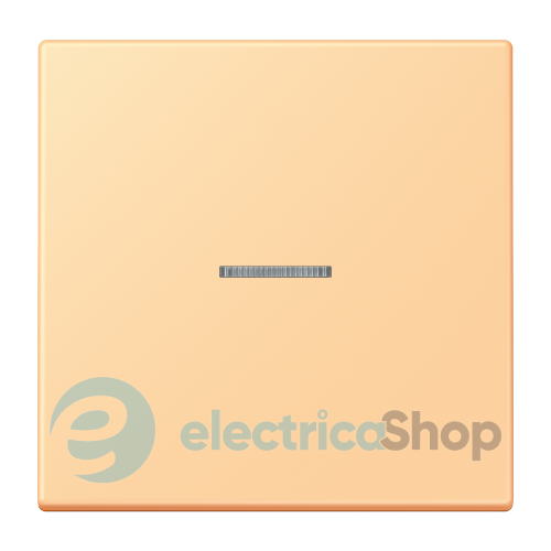 Клавиша 1-а. с подсветкой JUNG LC990KO5258 terre sienne claire 59 (4320P)