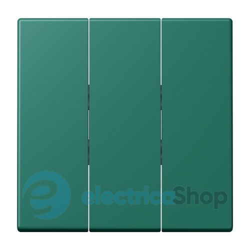 Клавіша для вимикача 3-а. JUNG LC993BF216 vert anglais (32040)