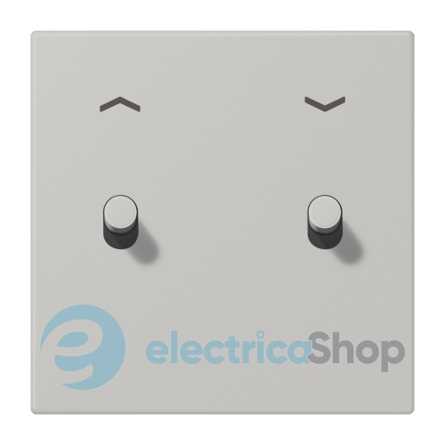 Накладка 1-п. для выключателя с 2-ма тумблерами «цилиндр» со стрелками JUNG LC12-5PR0205 gris clair 31 (32013)