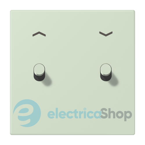 Накладка 1-п. для выключателя с 2-ма тумблерами «цилиндр» со стрелками JUNG LC12-5PR0218 vert anglais pâle (32042)